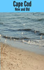Thumbnail Cape Cod New & Old